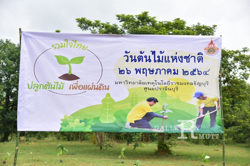 20210526-Tree planting dayt-101.JPG